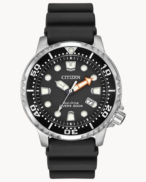 Promaster Diver Black Band Black Dial