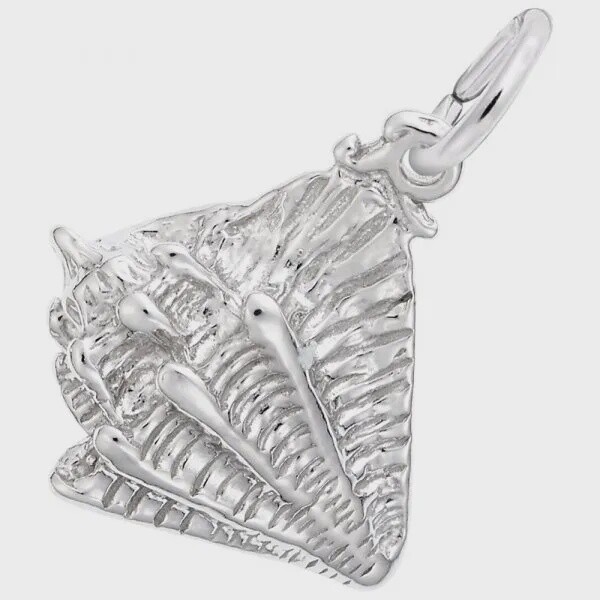 SS Conch Shell 1748
