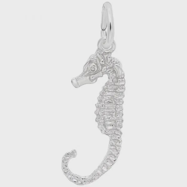 SS Seahorse 534