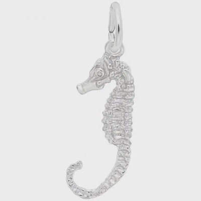 SS Seahorse 534
