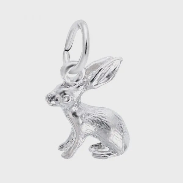SS Bunny 577