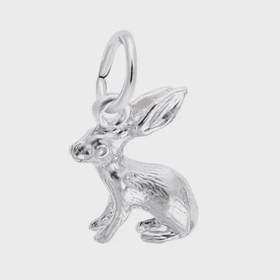 SS Bunny 577