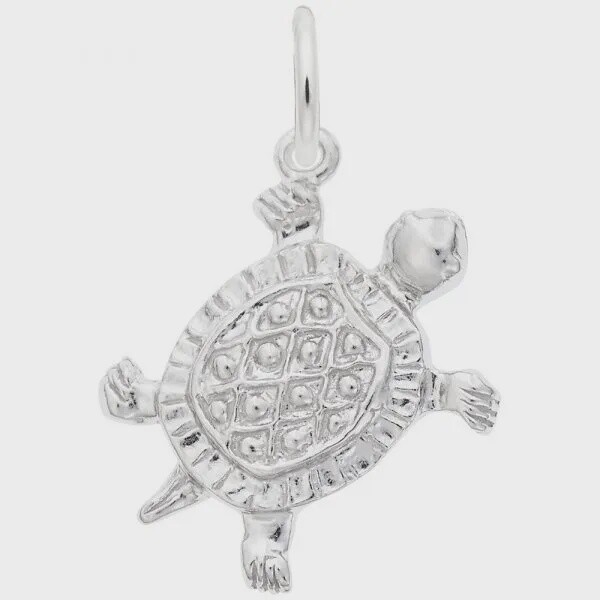 SS Turtle 530