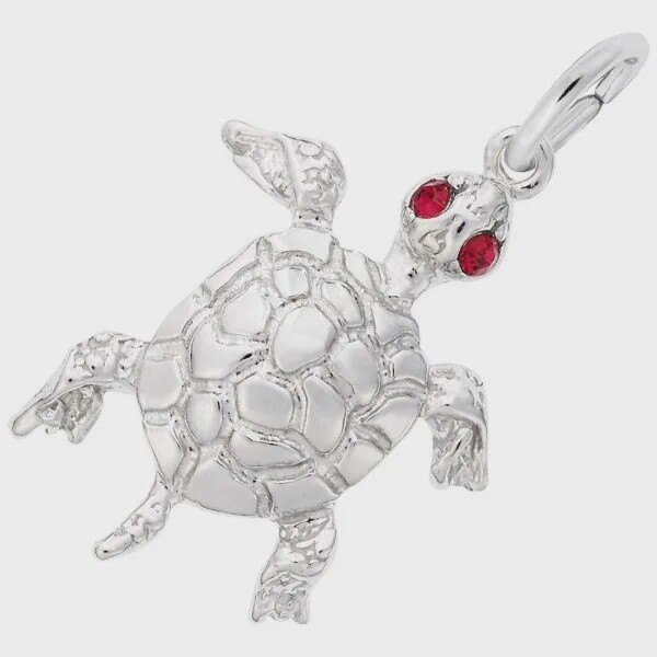SS Turtle 2597