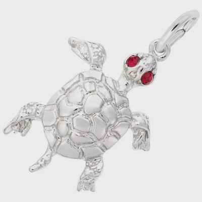 SS Turtle 2597