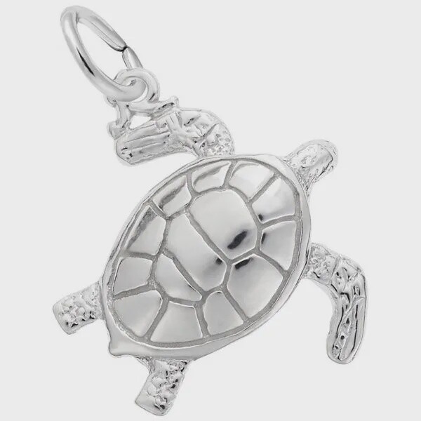 SS Sea Turtle 8173