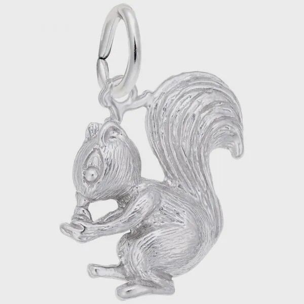SS Squirrel 6538