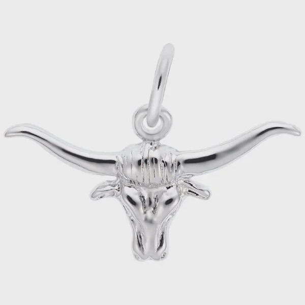 SS Steer 1563