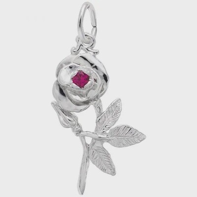 SS Rose 6489
