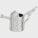 SS Watering Can 8174