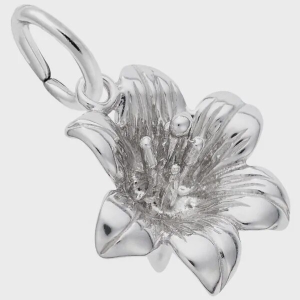 SS Lily 4580