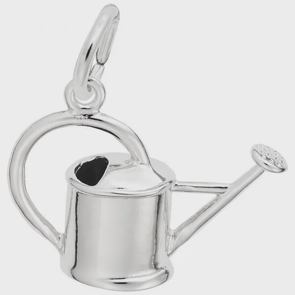 SS Watering Can 3451