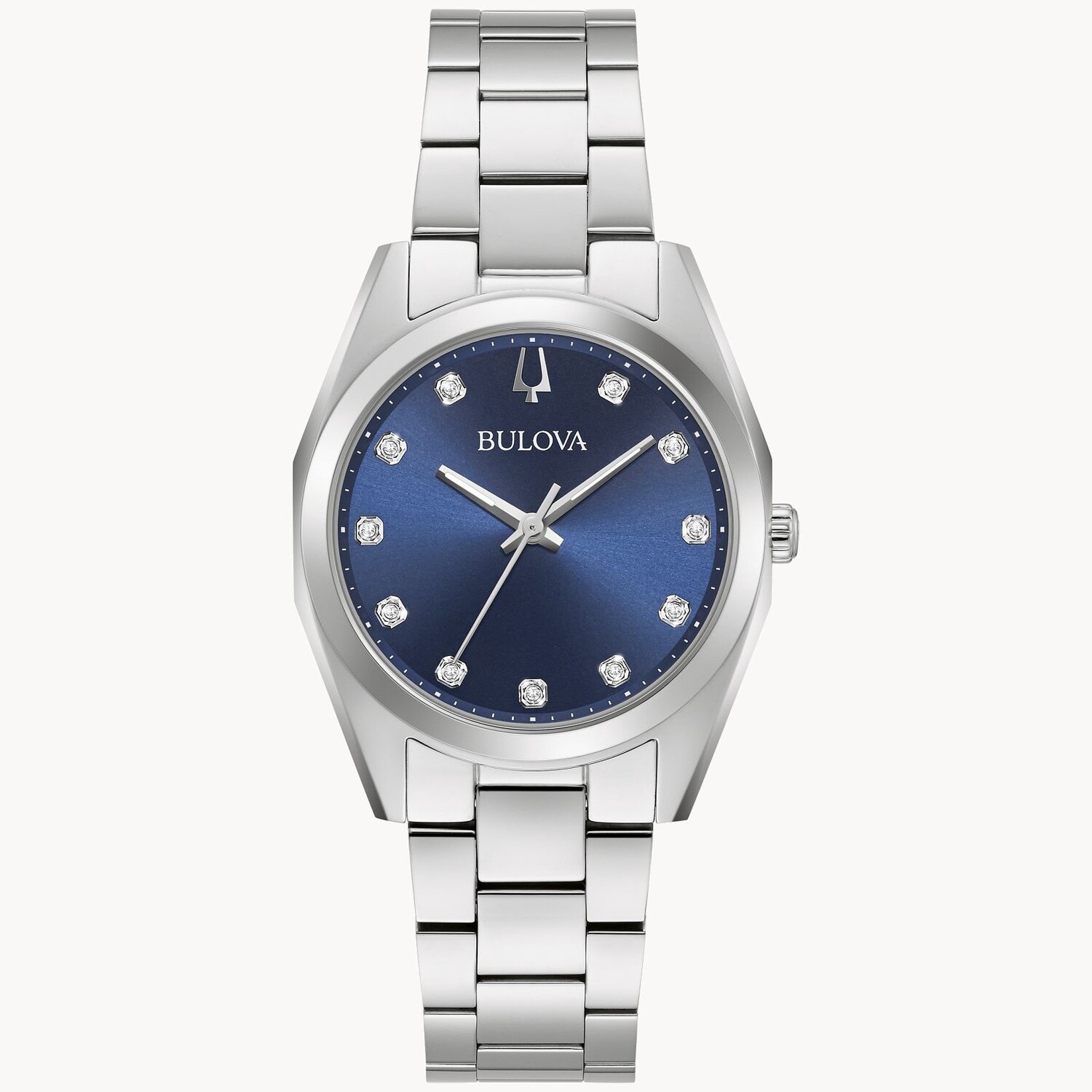 Surveyor LW BR BL D011