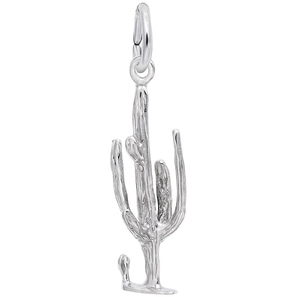 Cactus Charm
