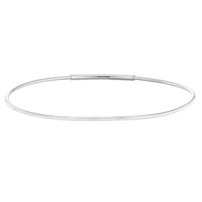 SS PL Finish Charm Bracelet