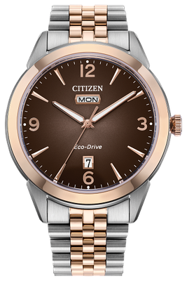 Citizen Rolan Men's Watch