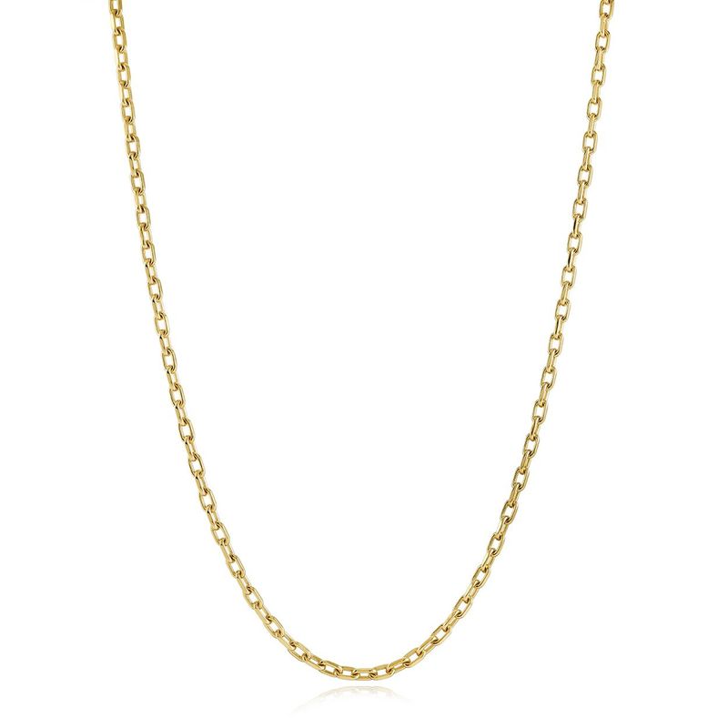 Juniors Gold Forza Chain – 3mm Stainless Steel