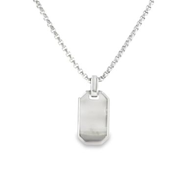 Stainless Brushed DogTag Polished Edge 20" Necklace