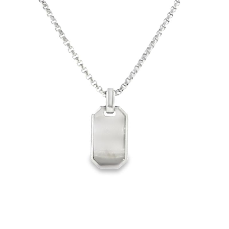 Stainless Brushed DogTag Polished Edge 20" Necklace