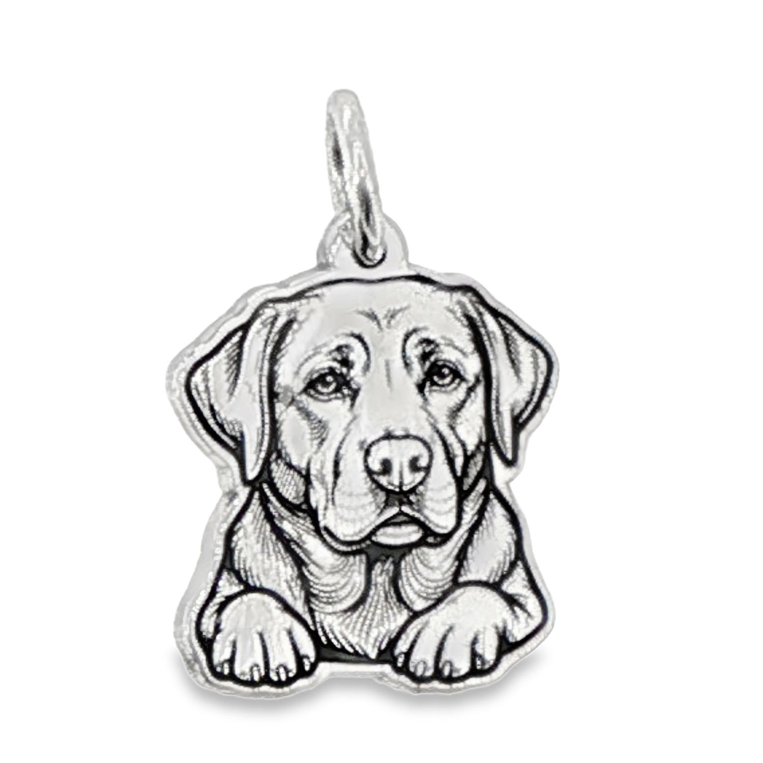 SS Labrador Retriever BCJ1219