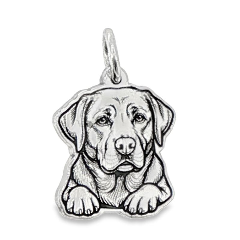SS Labrador Retriever BCJ1219 SS Labrador Retriever BCJ1219