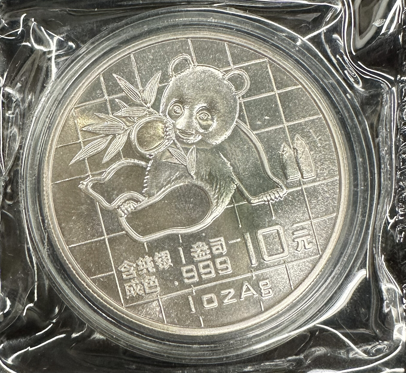 China 10 Yuan 1oz 1989 Silver Panda Coin
