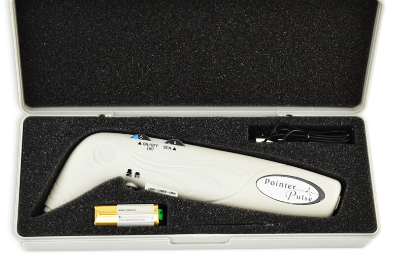 Pointer Pulse Laser