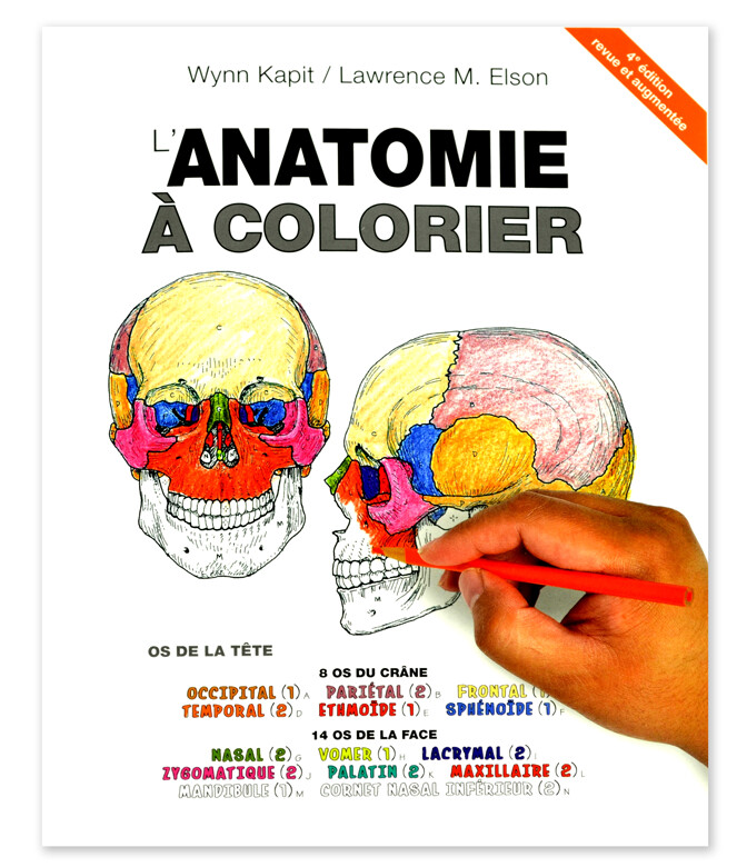 L&#39;Anatomie à colorier 4E ed.