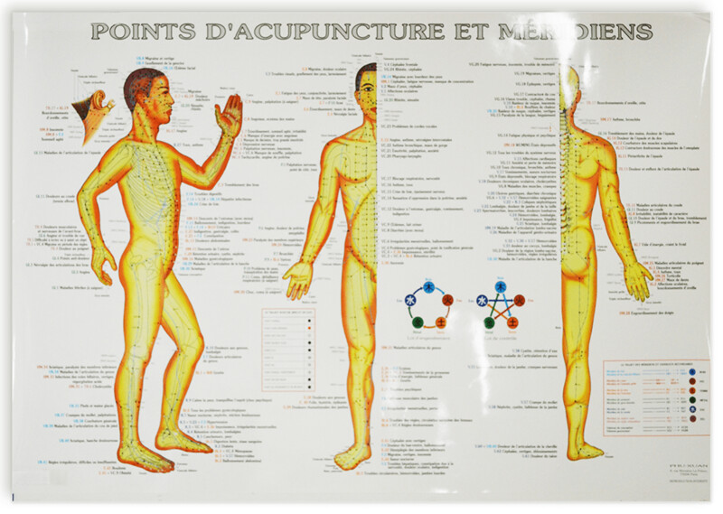 Planche des points d&#39;acupuncture et méridiens avec les indications pathologiques.