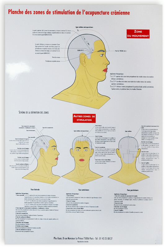 Planche des Zones de stimulation de l&#39;acupuncture cranienne