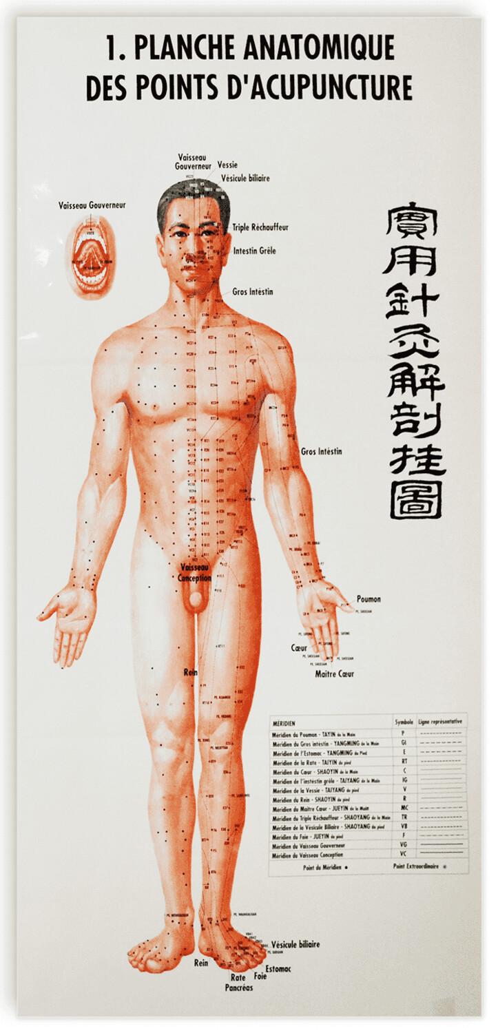 Planches anatomique des points d&#39;acupuncture des 14 méridiens et des points hors méridiens, 12 planches
