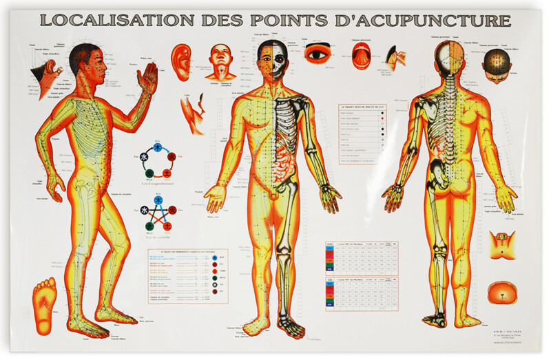 Planche Localisation des points d&#39;acupuncture