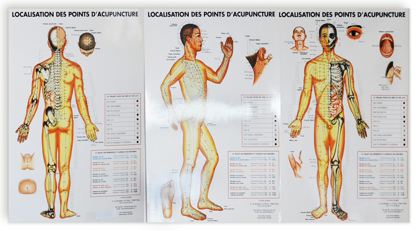 Planches Localisation des points d&#39;acupuncture, 3 planches