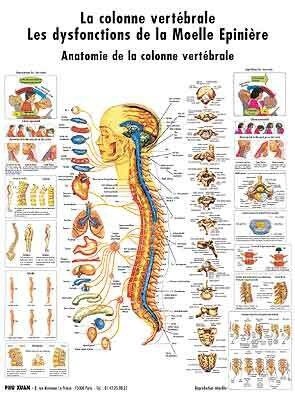 Planche de la colonne vertébrale, Dysfonctionnement de la moelle épiniaire