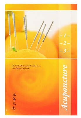 Acupuncture 1-2-3 (Français)
