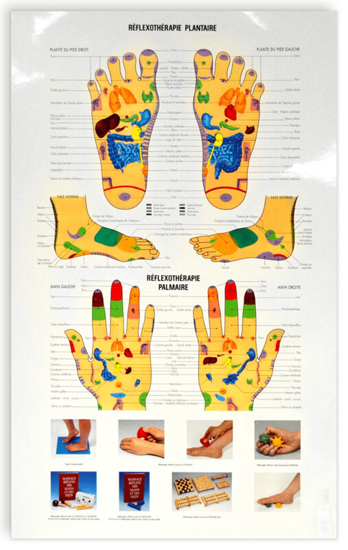 Planche de réflexologie plantaire et palmaire