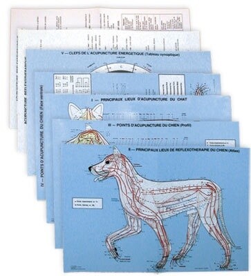 Planche Acupuncture vétérinaire: Chien et chat 7 planches