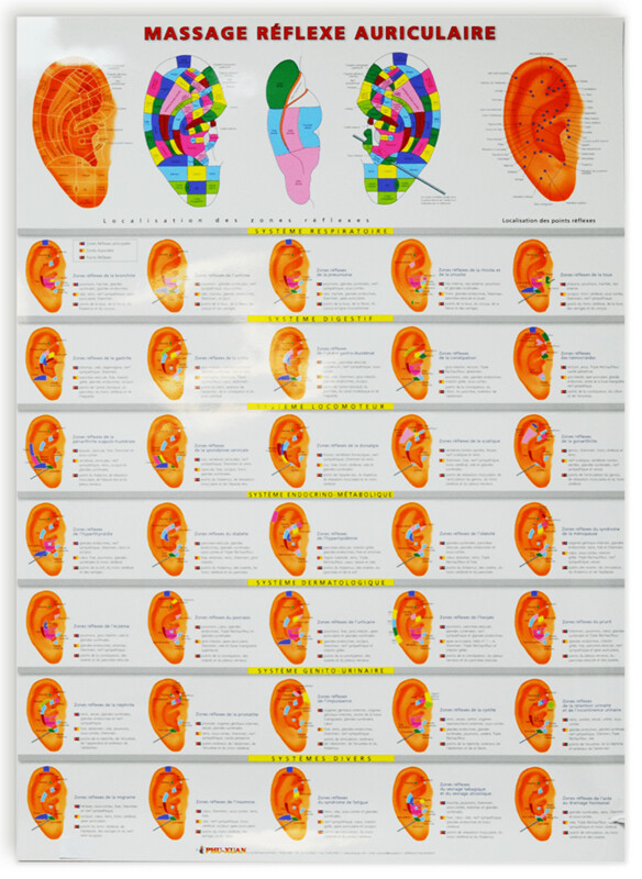 Planche Massage réflexe auriculaire 60 x 80cm
