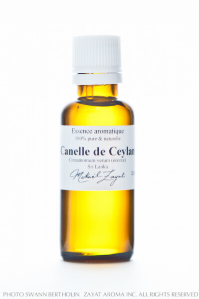 Cannelle de Ceylan, Écorce