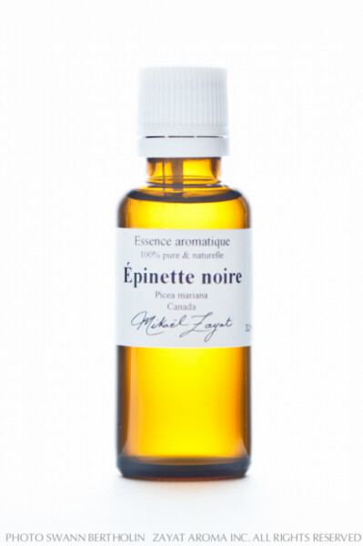 Epinette noire du Canada BIO