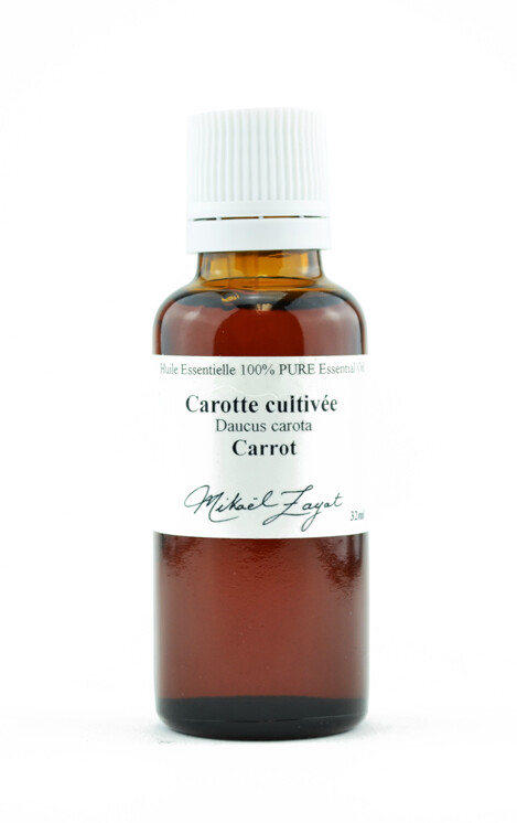 C.S. Carotte cultivée