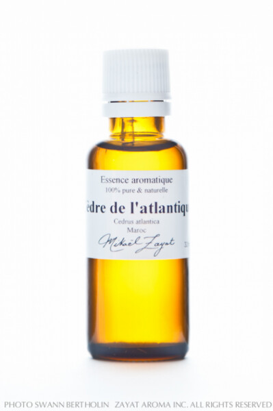 Cèdre de l&#39;Atlas Bio