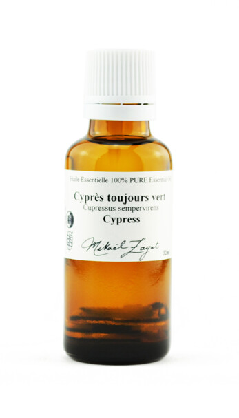 Cyprès toujours vert biologique