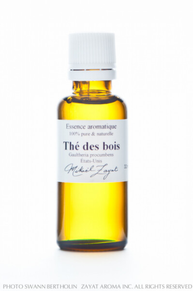 Gaulthérie couchée, Wintergreen, Thé des bois
