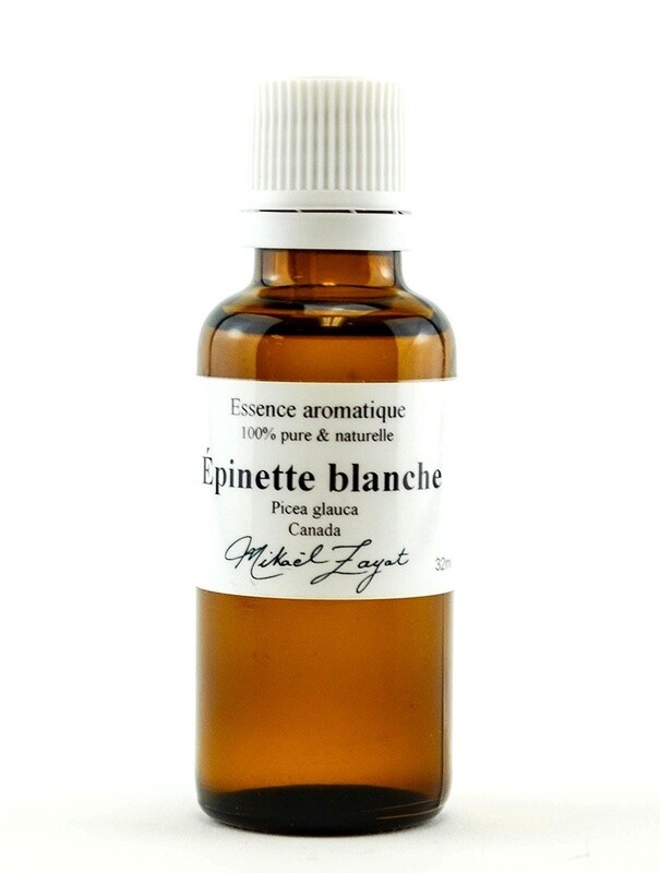 Epinette blanche du Canada  BIO