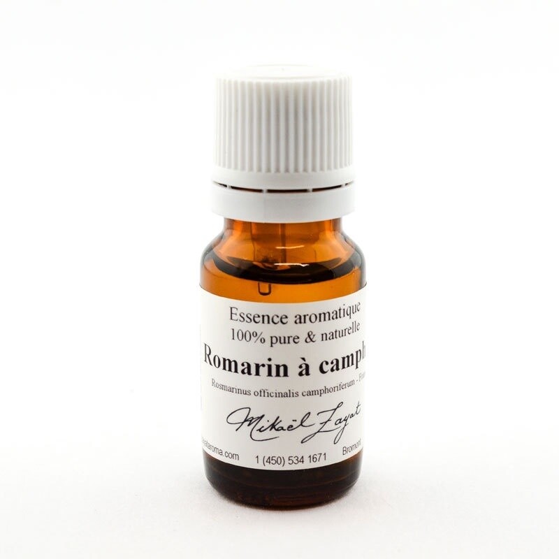 Romarin à camphre BIO