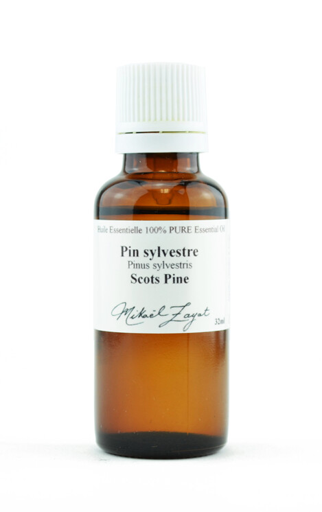 Pin sylvestre