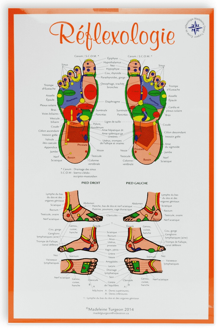 Planche de réflexologie de Madelaine Turgeon, 11x17&#39;&#39; (27x40cm)