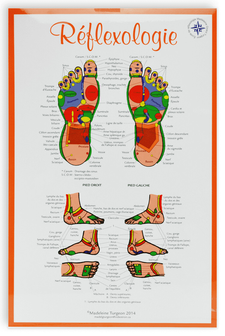 Planche de réflexologie de Madelaine Turgeon, 11x17&#39;&#39; (27x40cm), Planche: Le pied
