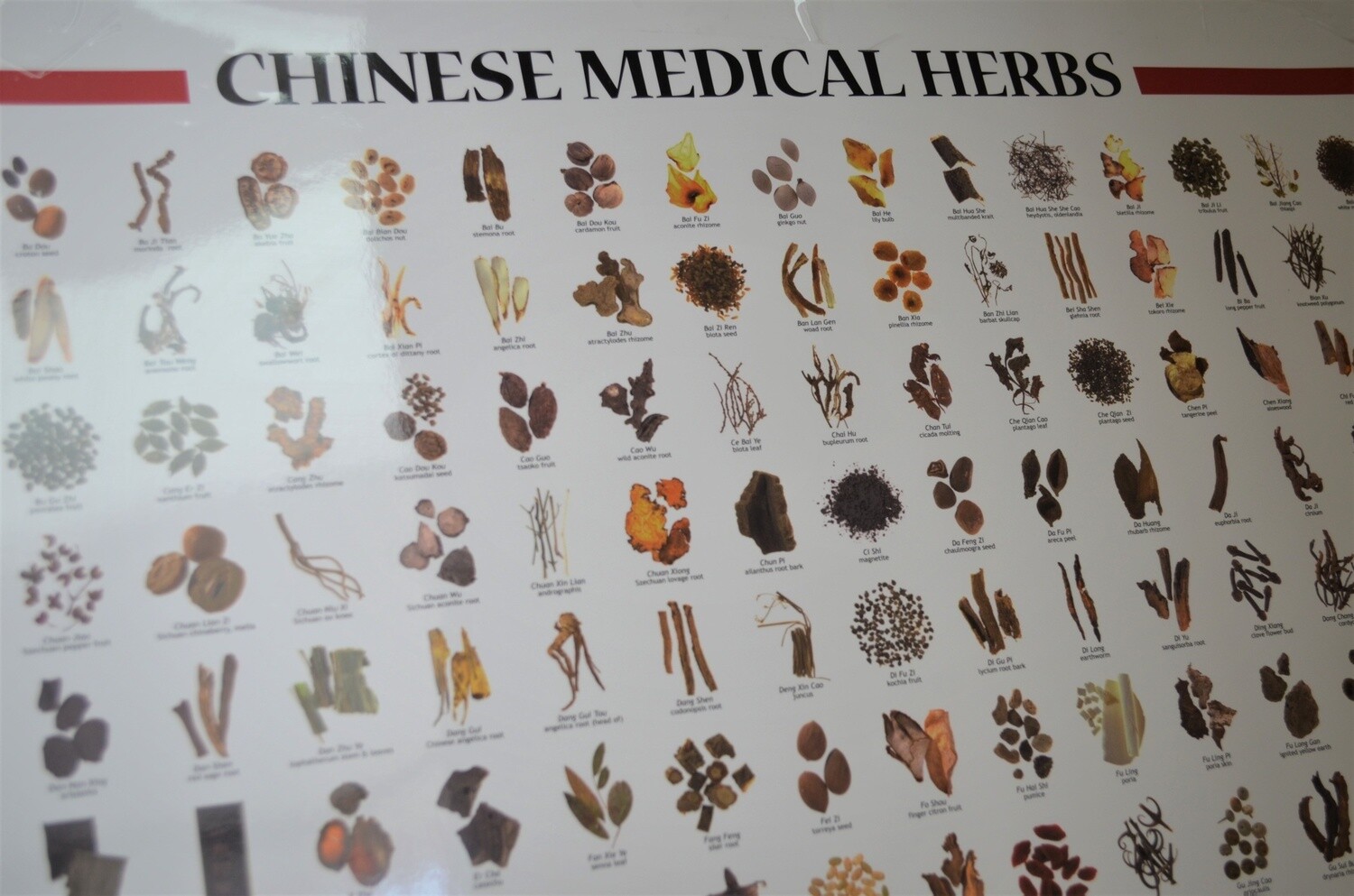 Planche,Chinese Medical Herbs (plastifié)